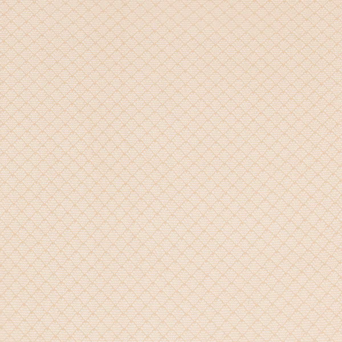 JILLSTUARTジルスチュアート日本製ブライトプチダイヤストッキングハイソックス靴下セパレート柄つま先スルーレディース女性婦人プレゼントギフト01055540